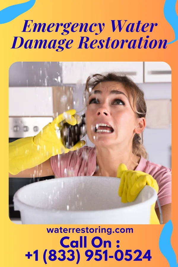 Emergency Water Damage Restoration in Cashton, WI