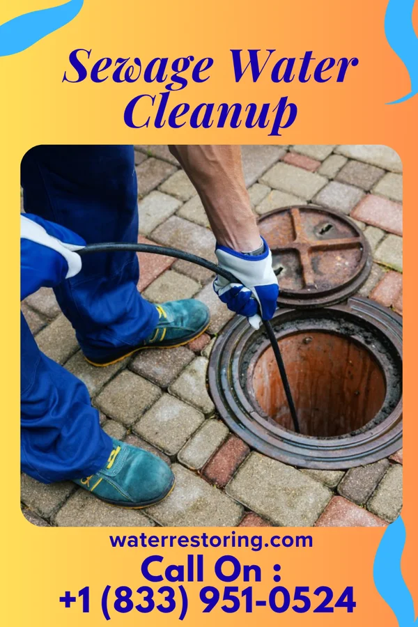 Sewage Water Cleanup in Cashton, WI